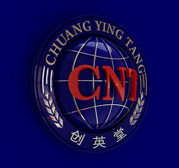 教育培訓(xùn)機構(gòu)VI企業(yè)形象設(shè)計 創(chuàng)英堂VI企業(yè)形象設(shè)計