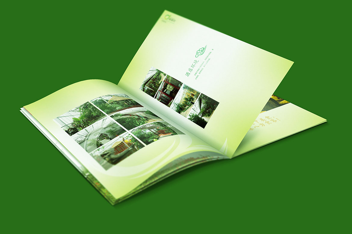 酒店管理品牌麒麟灣企業(yè)畫冊設計 麒麟灣宣傳冊內頁酒店環(huán)境設計