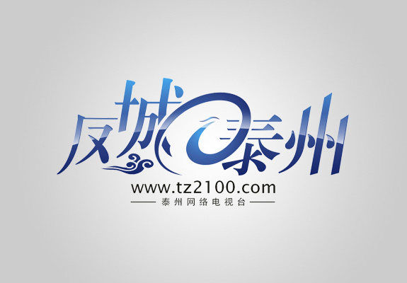 門戶網(wǎng)站logo設(shè)計 鳳城泰州網(wǎng)站logo設(shè)計