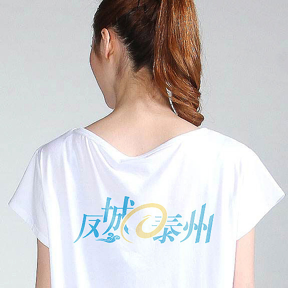 門戶網(wǎng)站高端VI設(shè)計 鳳城泰州網(wǎng)站高端VI設(shè)計